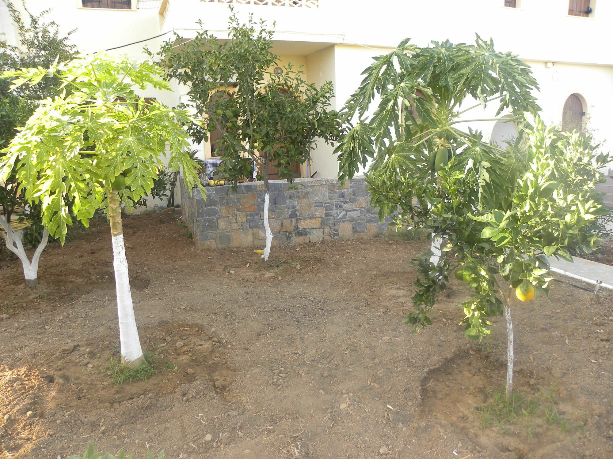 ميلاتوس Villa Thalia المظهر الخارجي الصورة
