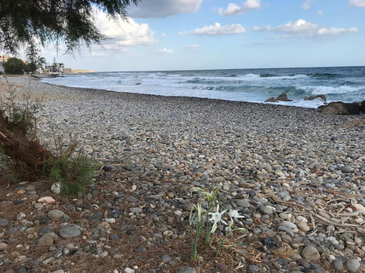 ميلاتوس Villa Thalia المظهر الخارجي الصورة